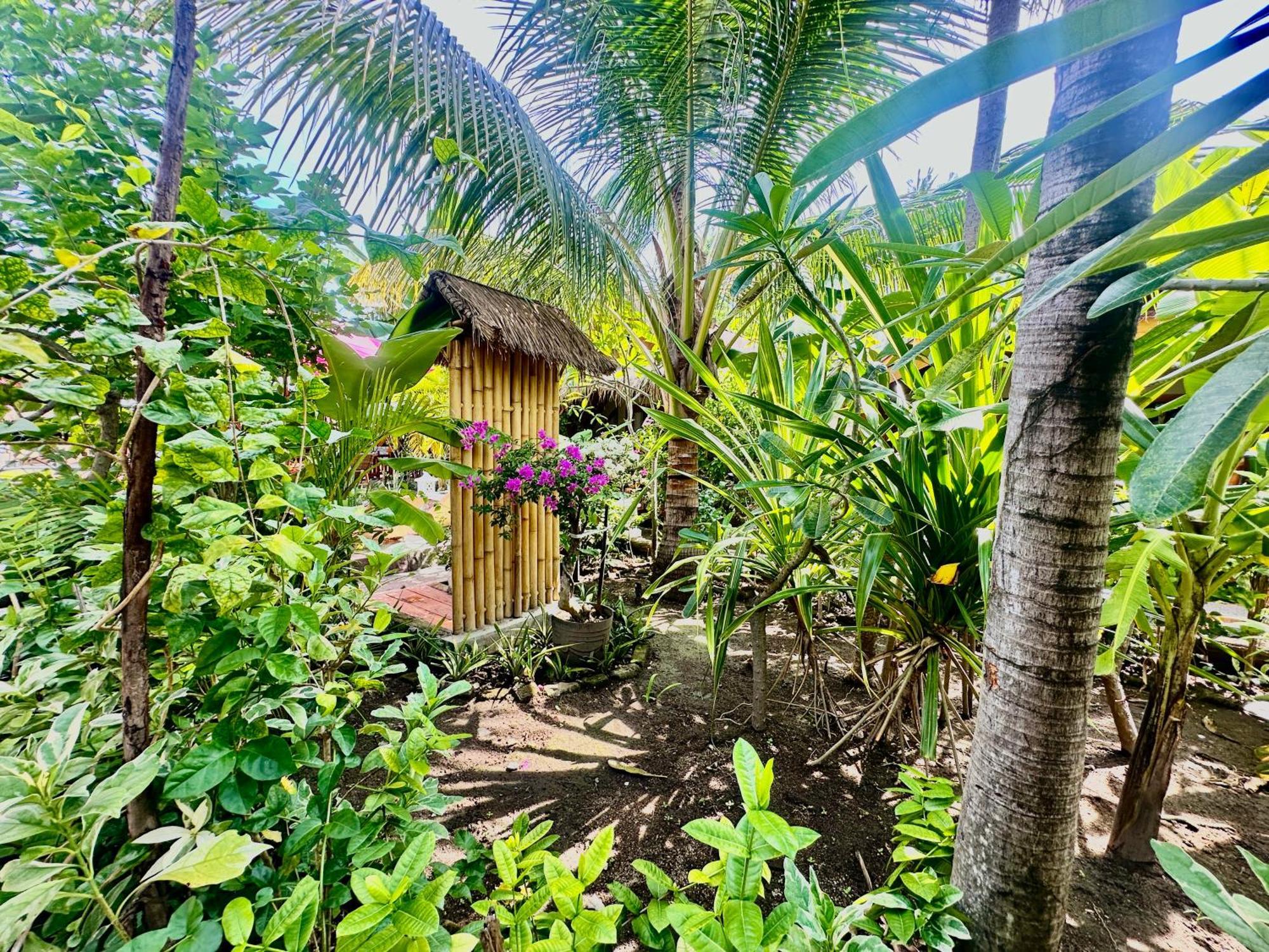 Sunny Rose Bungalows Gili Air - Adults Only 外观 照片